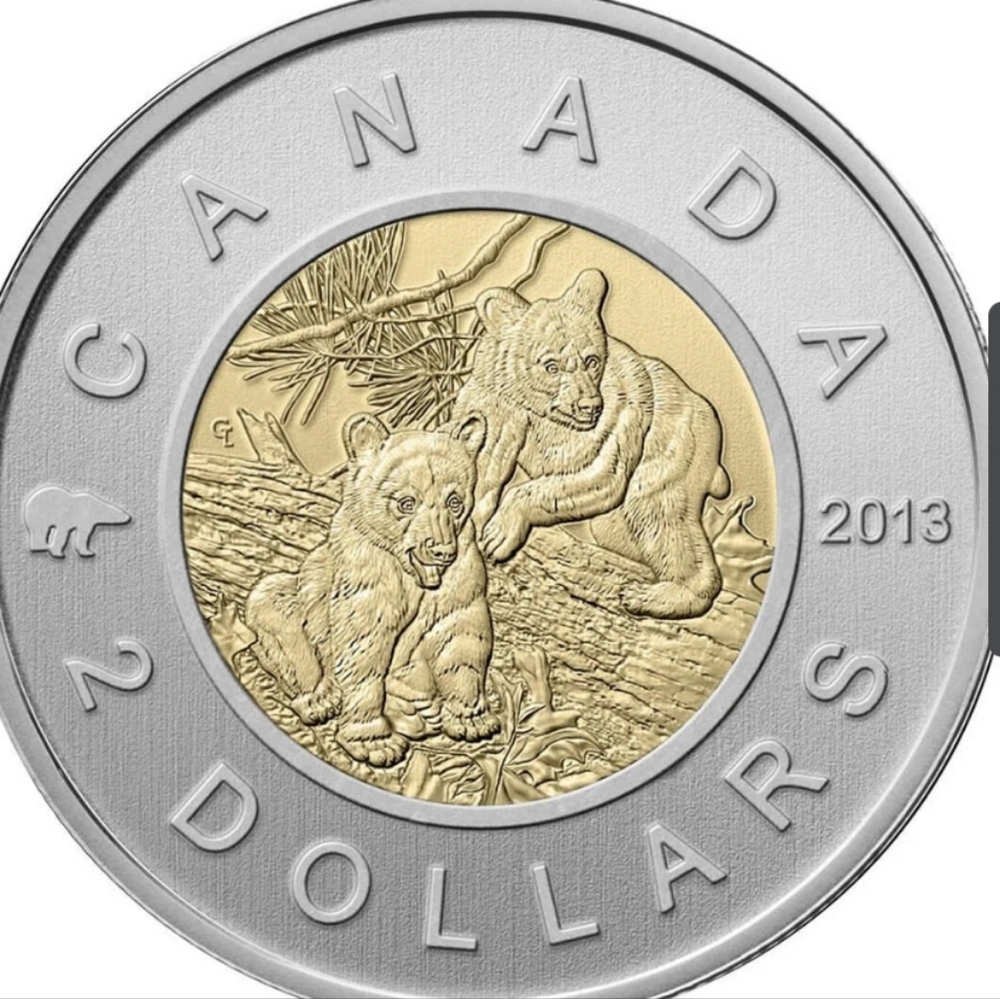 2013 RCM Specimen Set